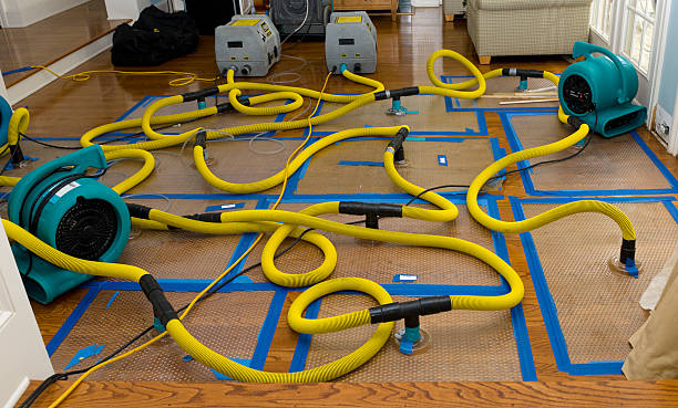 Professional Crawl Space Water Removal technician working in Marianna, FL